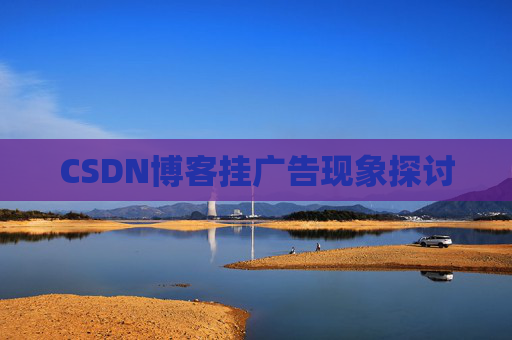 CSDN博客挂广告现象探讨
