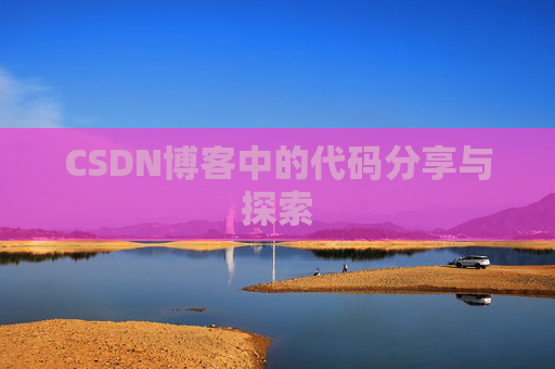 CSDN博客中的代码分享与探索