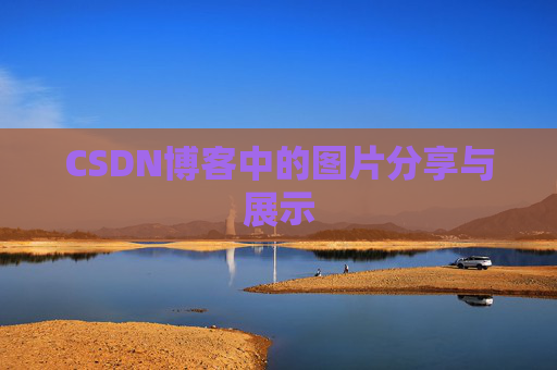 CSDN博客中的图片分享与展示